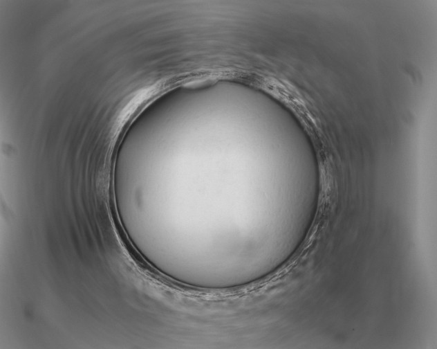 X0000090600003200708071152