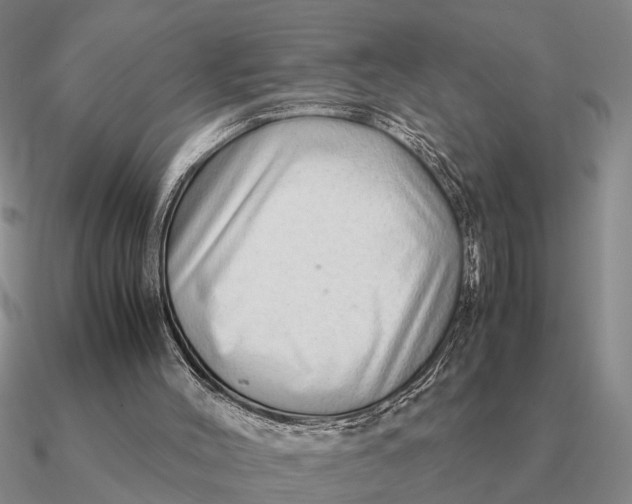 X0000090600004200708071152