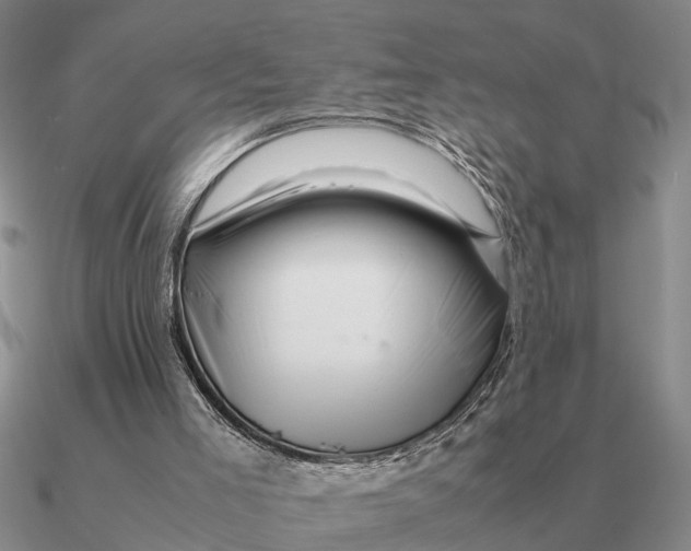 X0000090600005200708071152