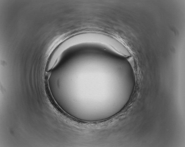 X0000090600007200708071152