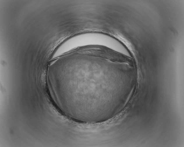 X0000090600009200708071152