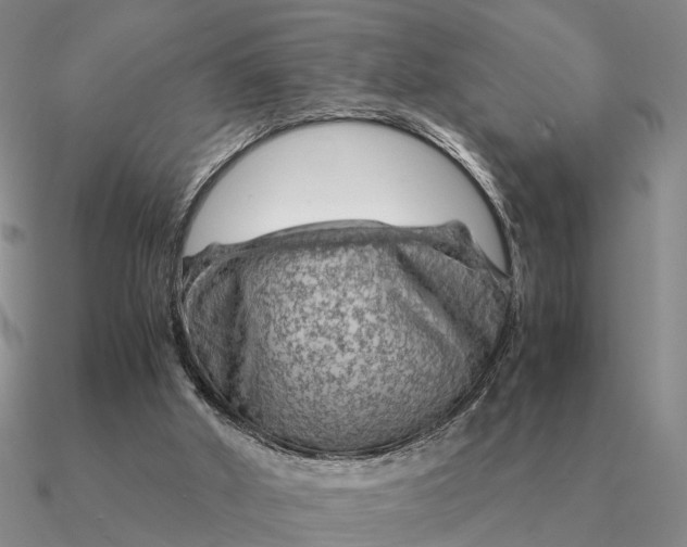 X0000090600010200708071152