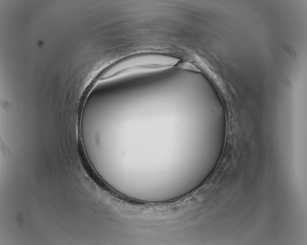 X0000090600011200708071152