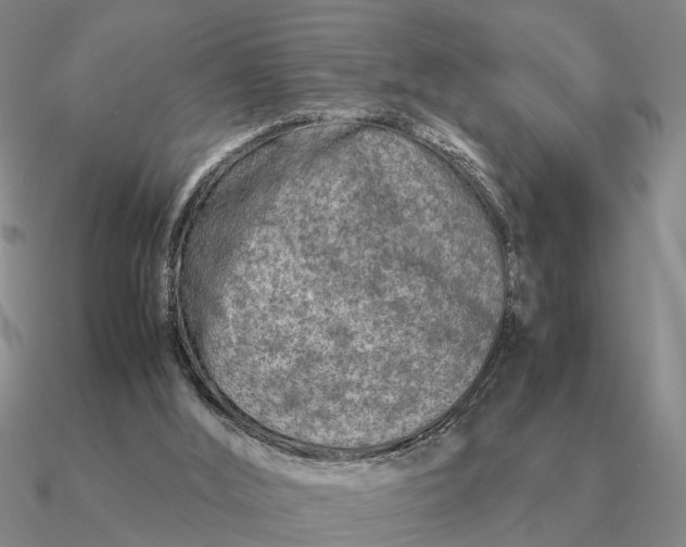 X0000090600012200708071152