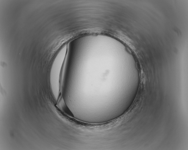 X0000090600013200708071152