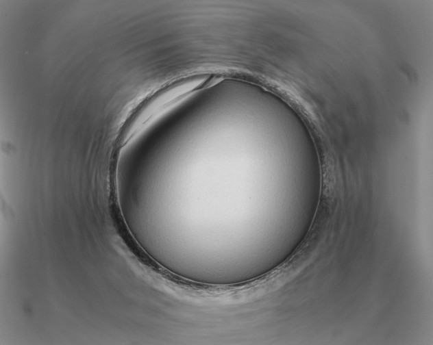 X0000090600015200708071152