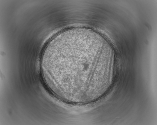 X0000090600016200708071152