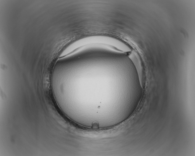 X0000090600017200708071152