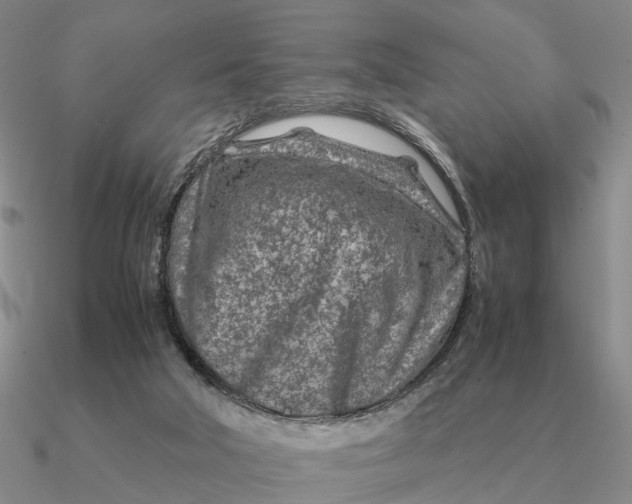 X0000090600018200708071152