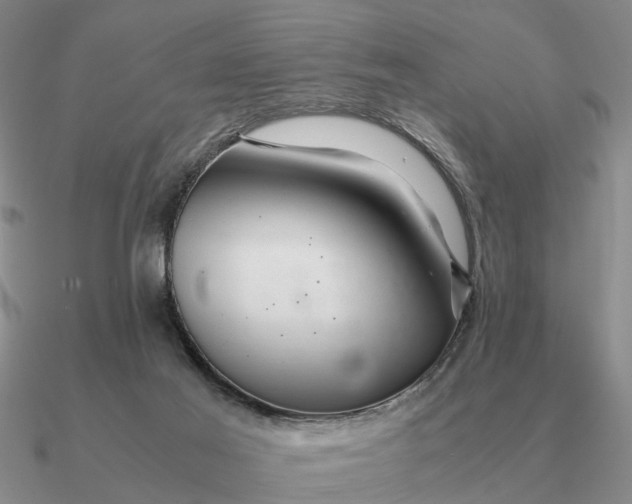 X0000090600021200708071152