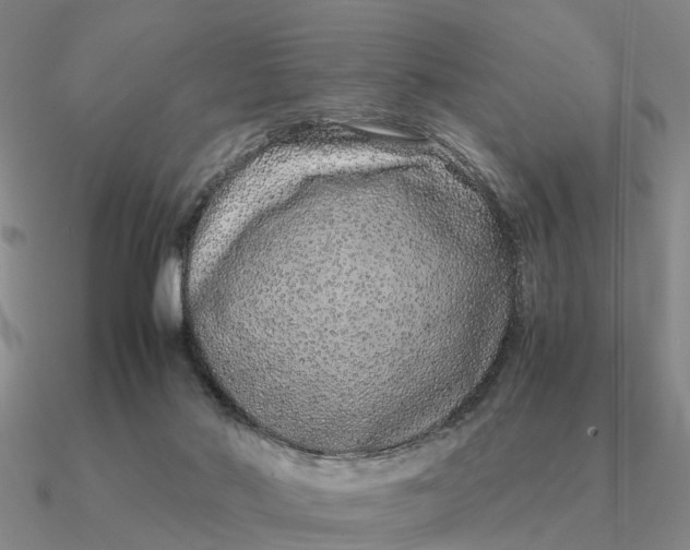 X0000090600022200708071152