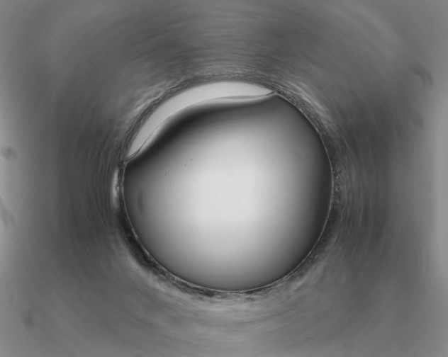 X0000090600024200708071152