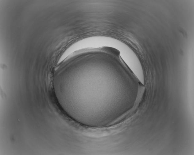 X0000090600029200708071152