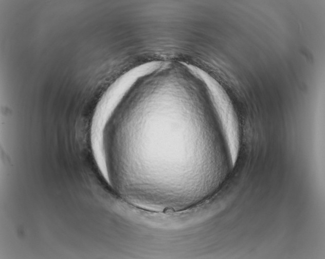 X0000090600030200708071152