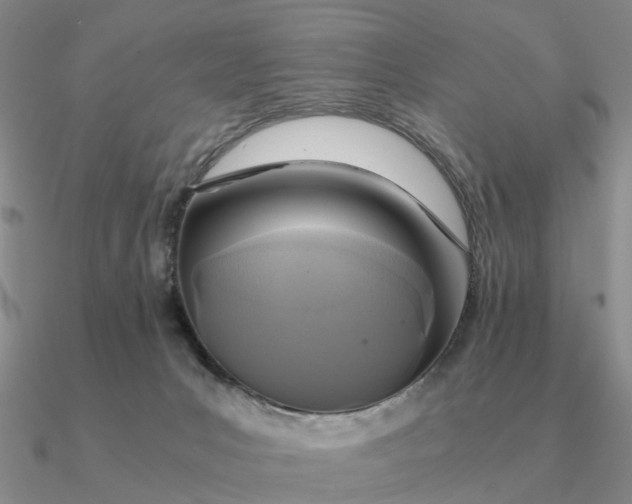 X0000090600031200708071152