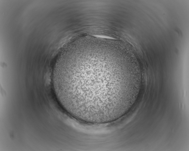 X0000090600032200708071152