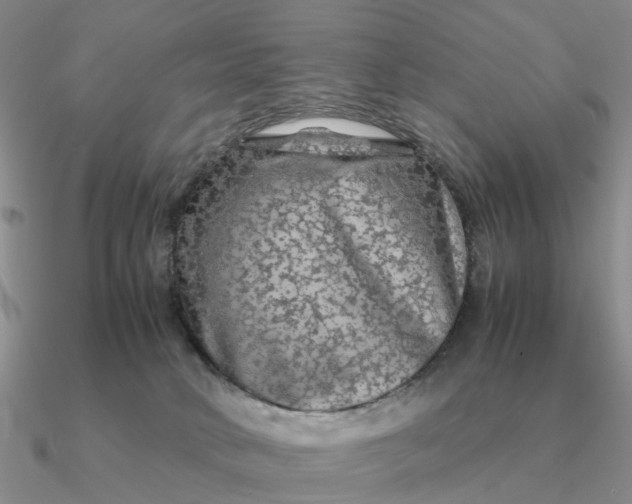 X0000090600034200708071152