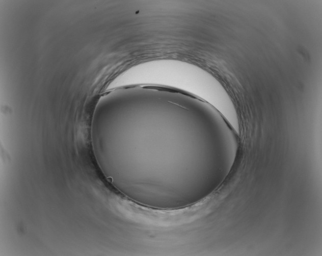 X0000090600035200708071152