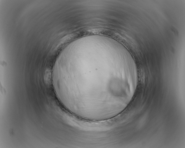 X0000090600036200708071152