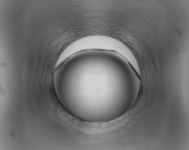 X0000090600037200708071152