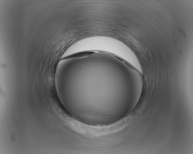 X0000090600039200708071152