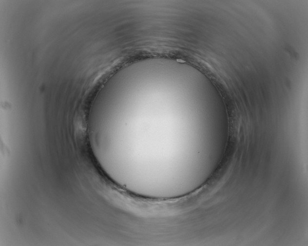 X0000090600040200708071152