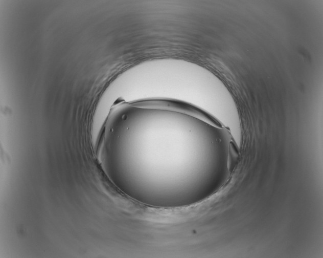 X0000090600045200708071152