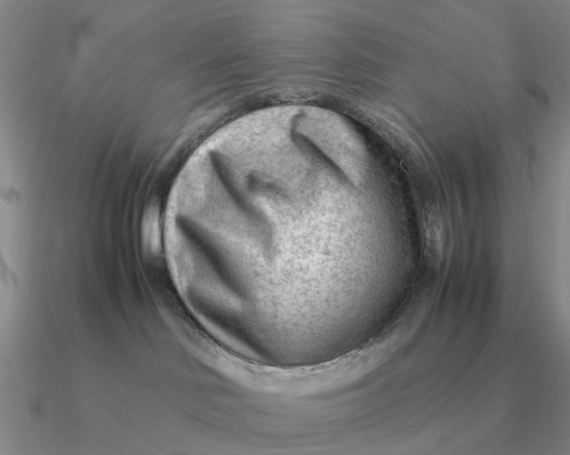 X0000090600046200708071152