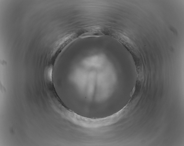 X0000090600047200708071152