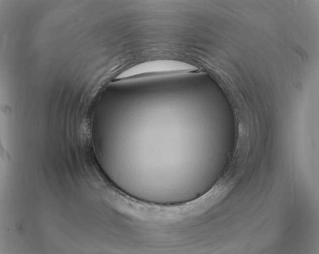 X0000090600048200708071152