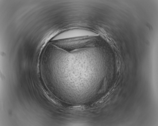 X0000090600050200708071151