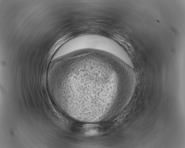 X0000090600051200708071151