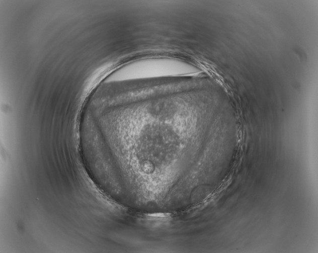 X0000090600053200708071151