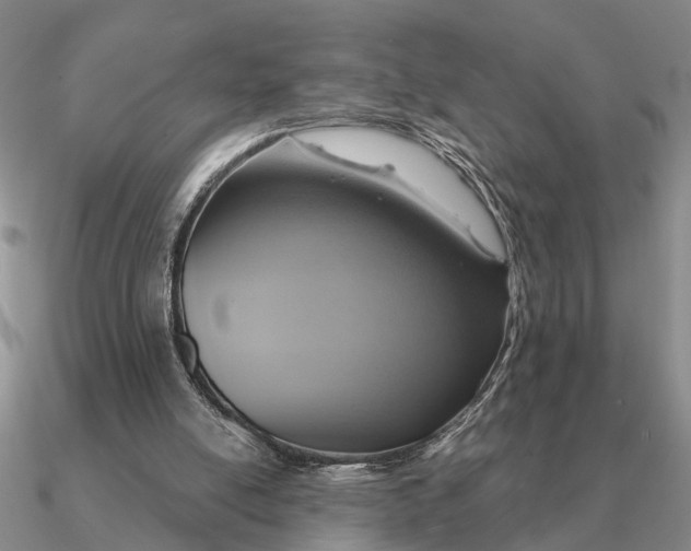 X0000090600054200708071151