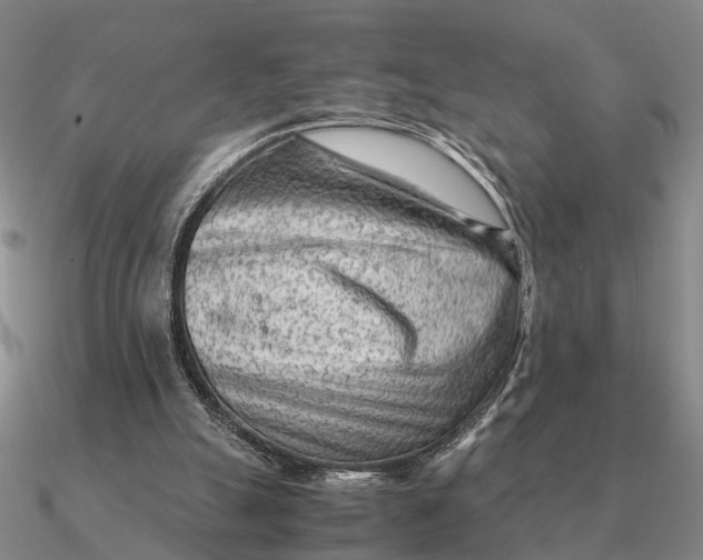 X0000090600055200708071151