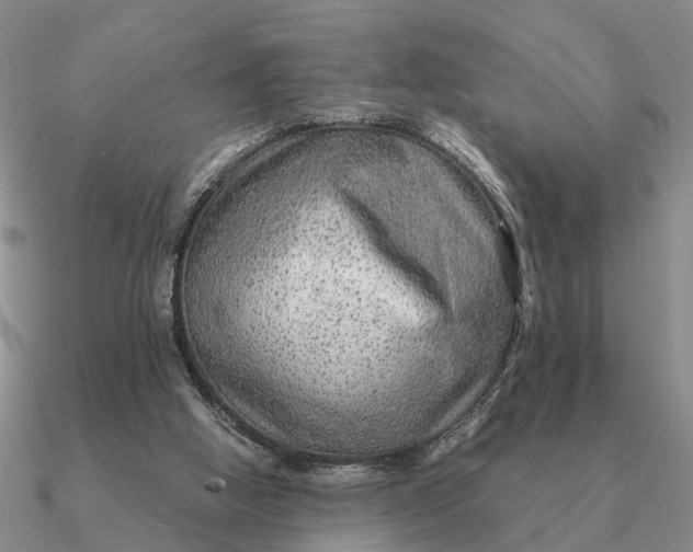 X0000090600058200708071151