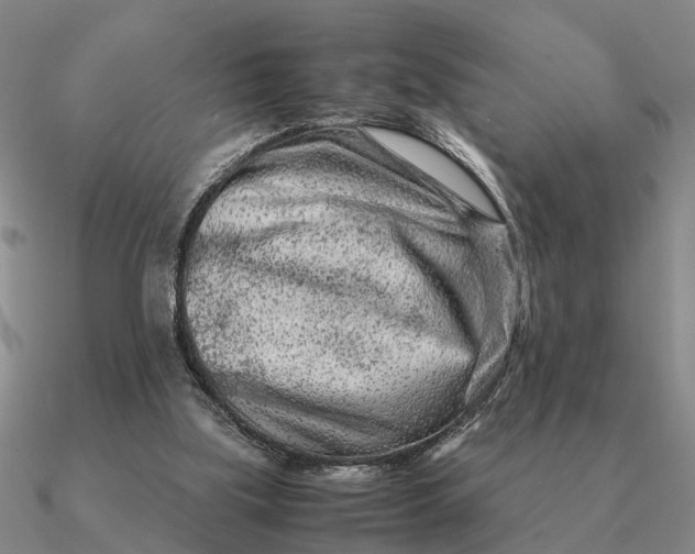 X0000090600059200708071151