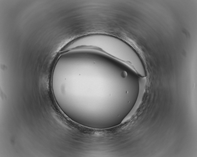 X0000090600060200708071151