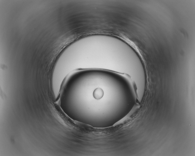 X0000090600061200708071151