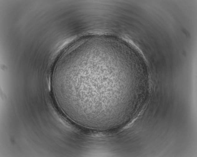 X0000090600062200708071151