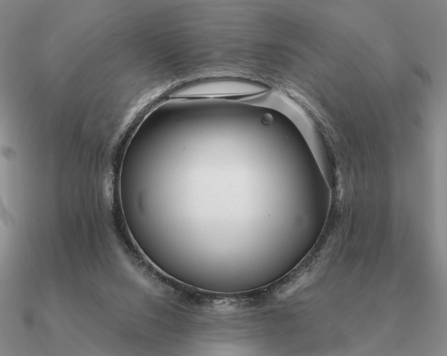 X0000090600064200708071151