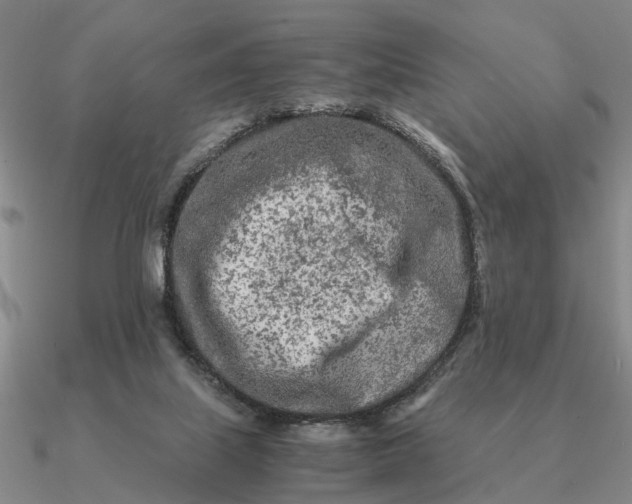 X0000090600067200708071151