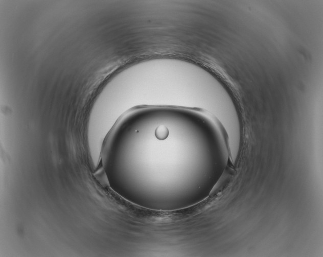 X0000090600068200708071151