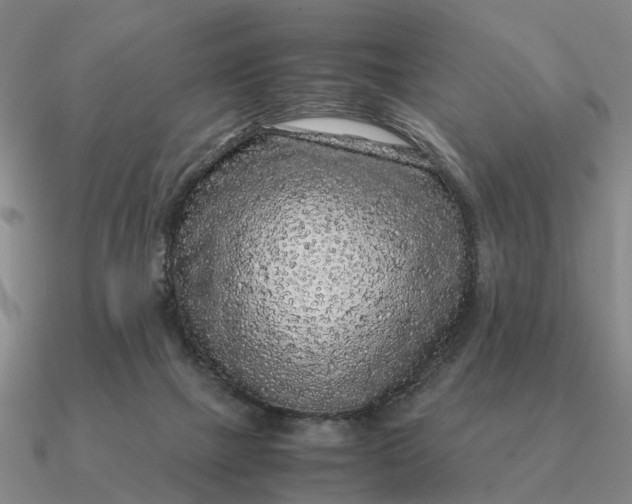 X0000090600073200708071151