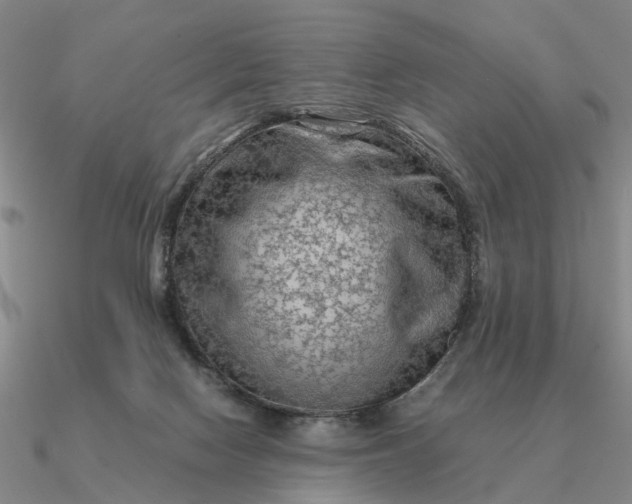 X0000090600074200708071151