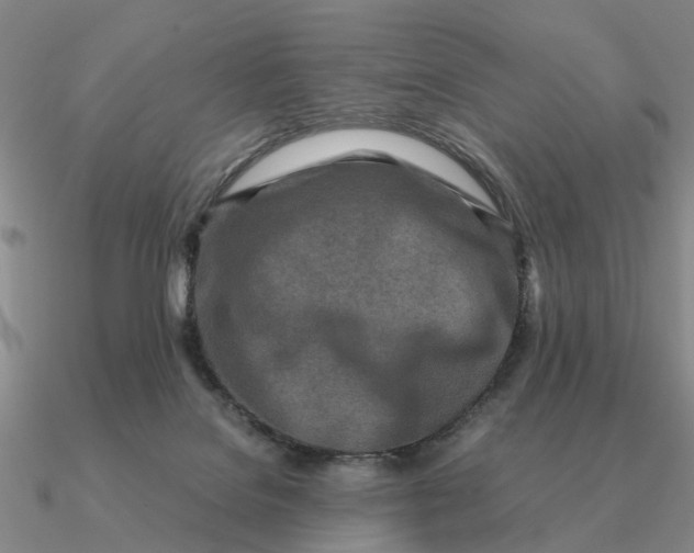 X0000090600076200708071151