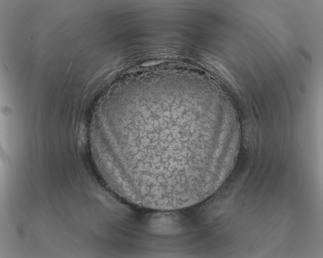 X0000090600077200708071151