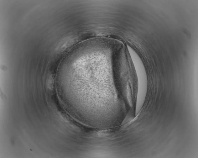 X0000090600078200708071151