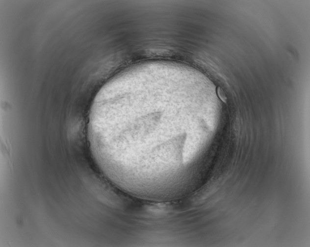 X0000090600079200708071152