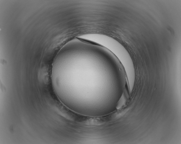 X0000090600080200708071152